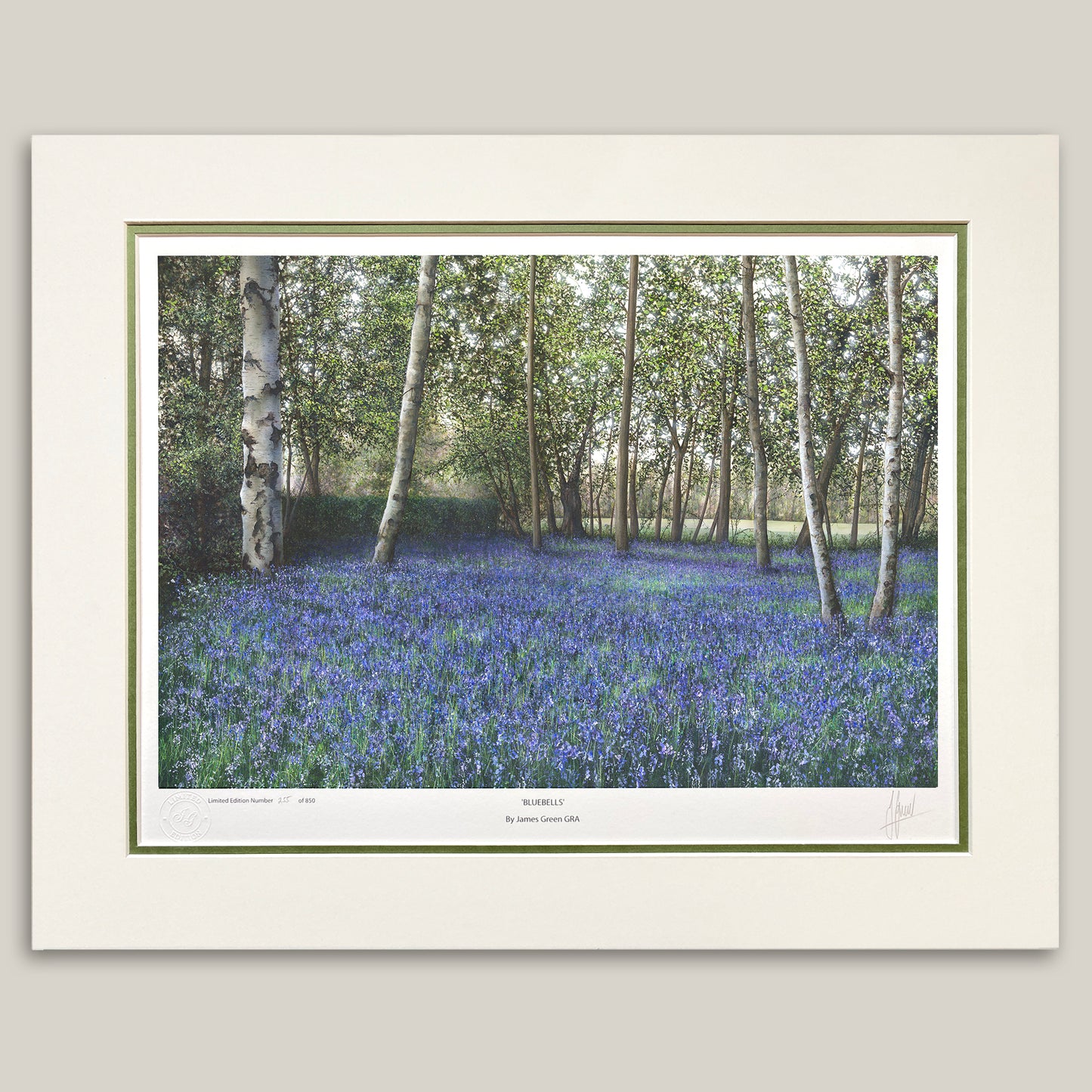 Bluebells at Daft as a Brush headquarters in Newcastle