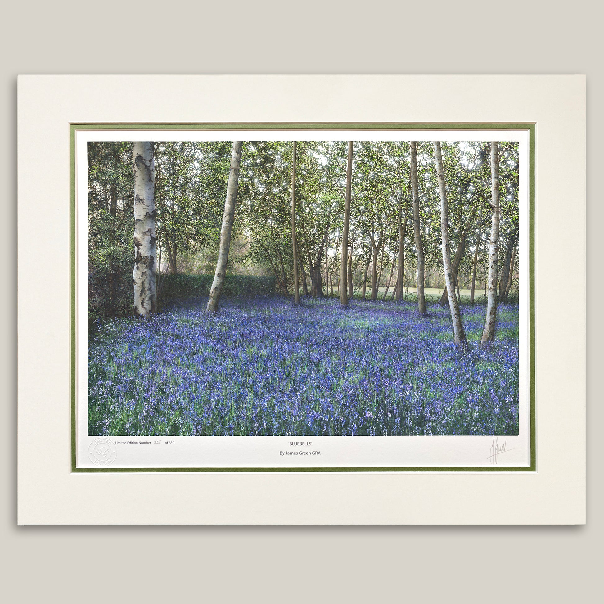 Bluebells at Daft as a Brush headquarters in Newcastle