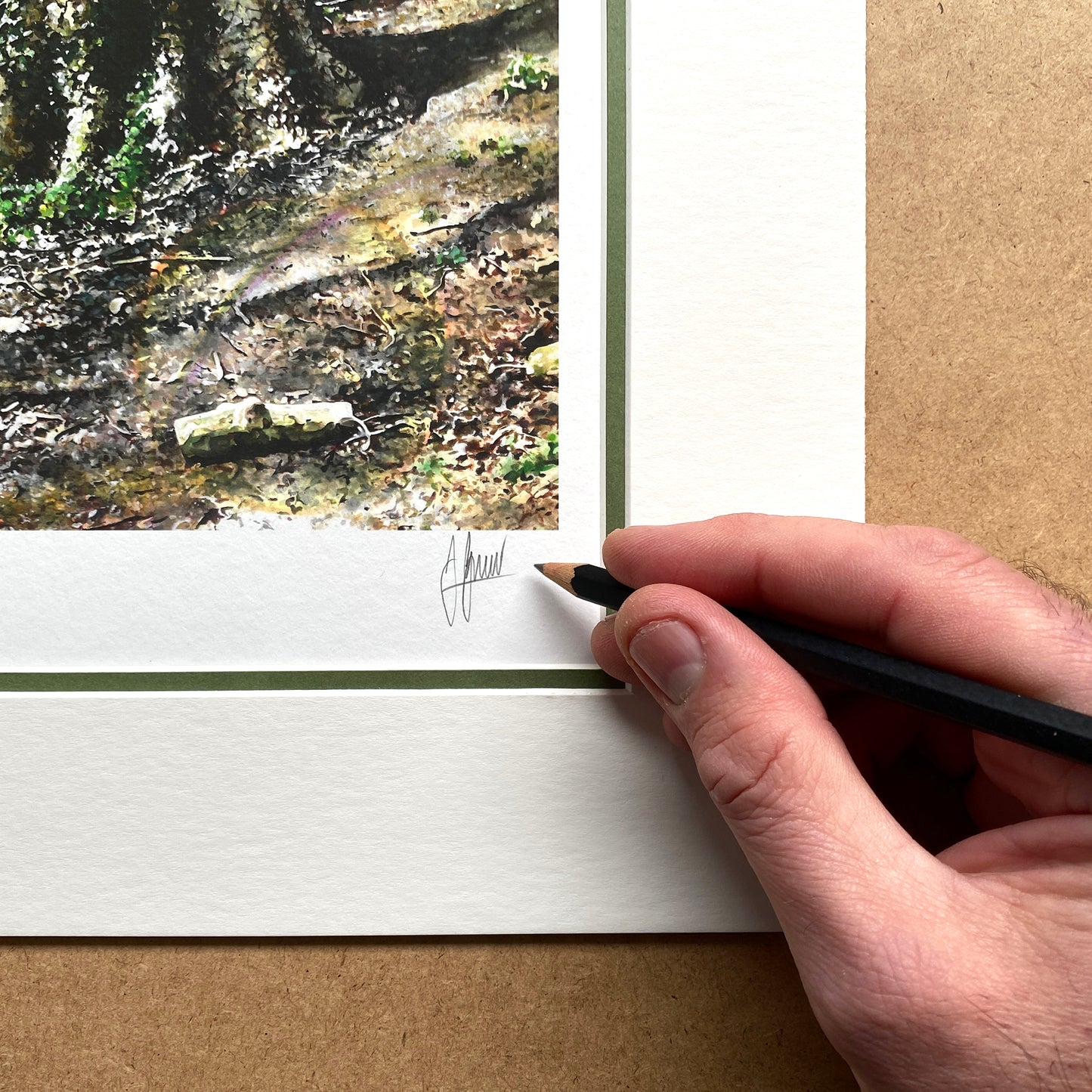 Bluebell Wood Limited Edition Print