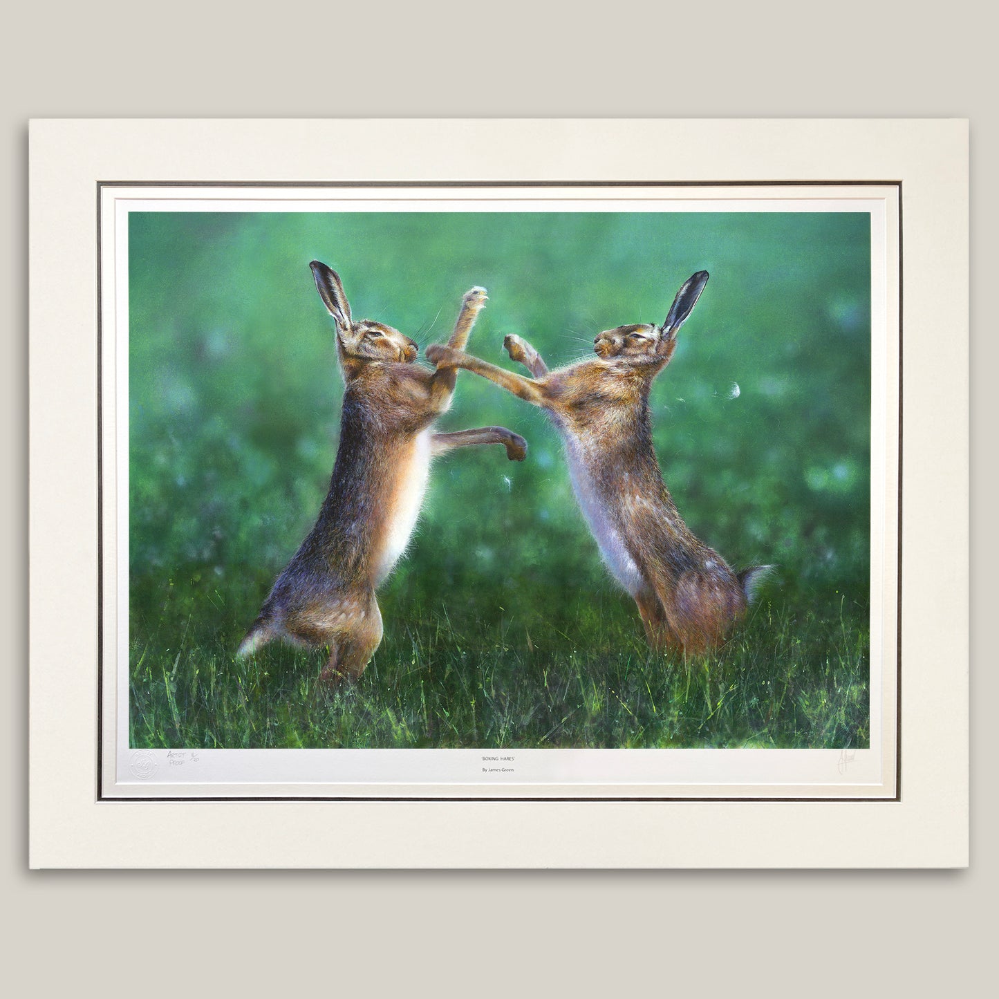 picture of two boxing hares from a painting by James Green, triple mounted