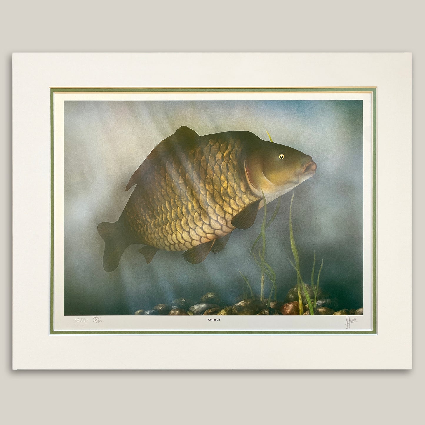 mounted common carp artwork