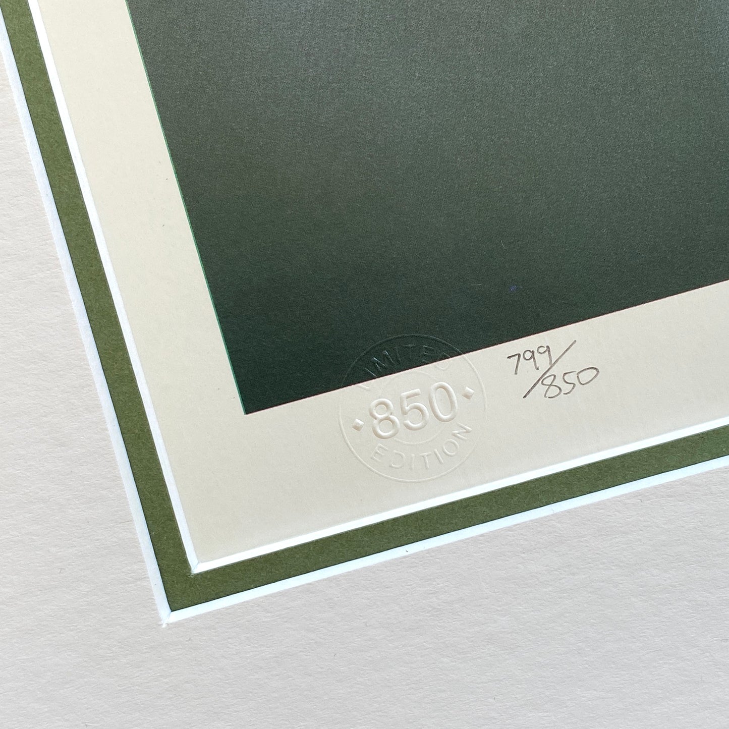 Common Carp Limited Edition Print