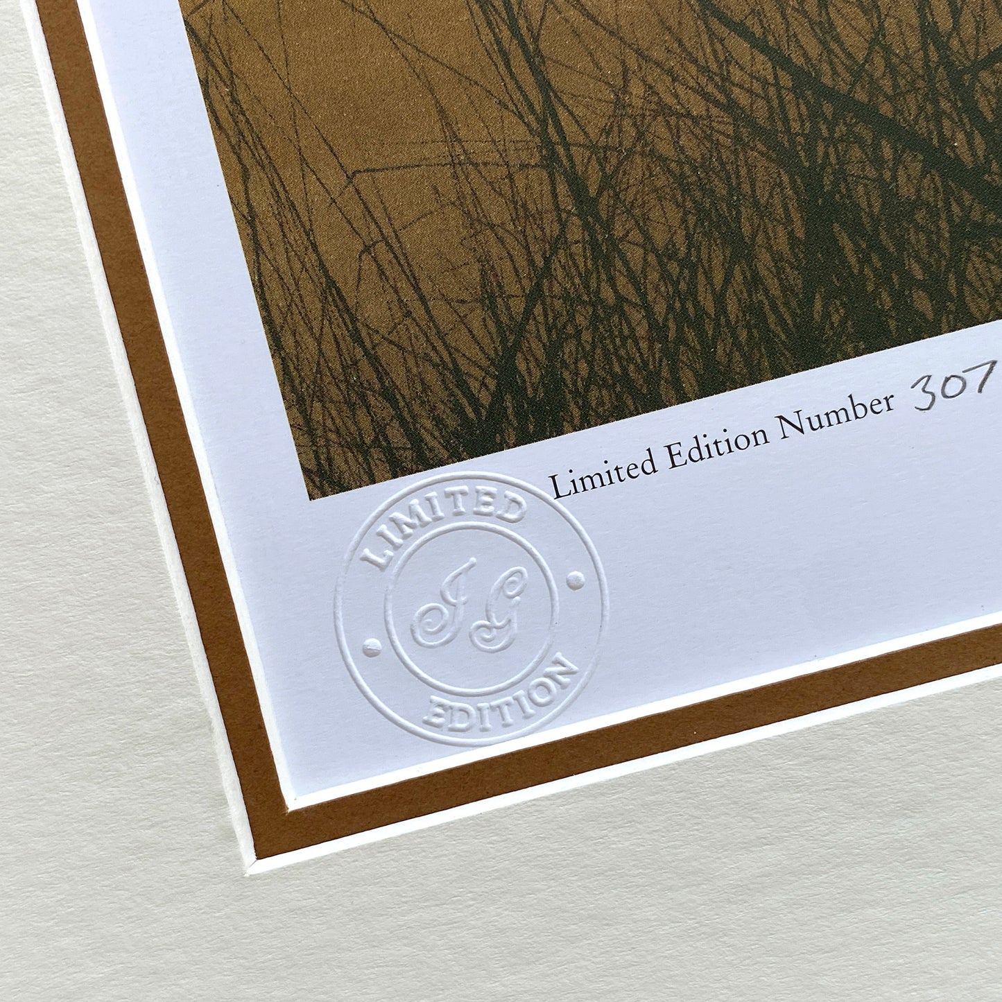 Fenland Reeds Limited Edition Print