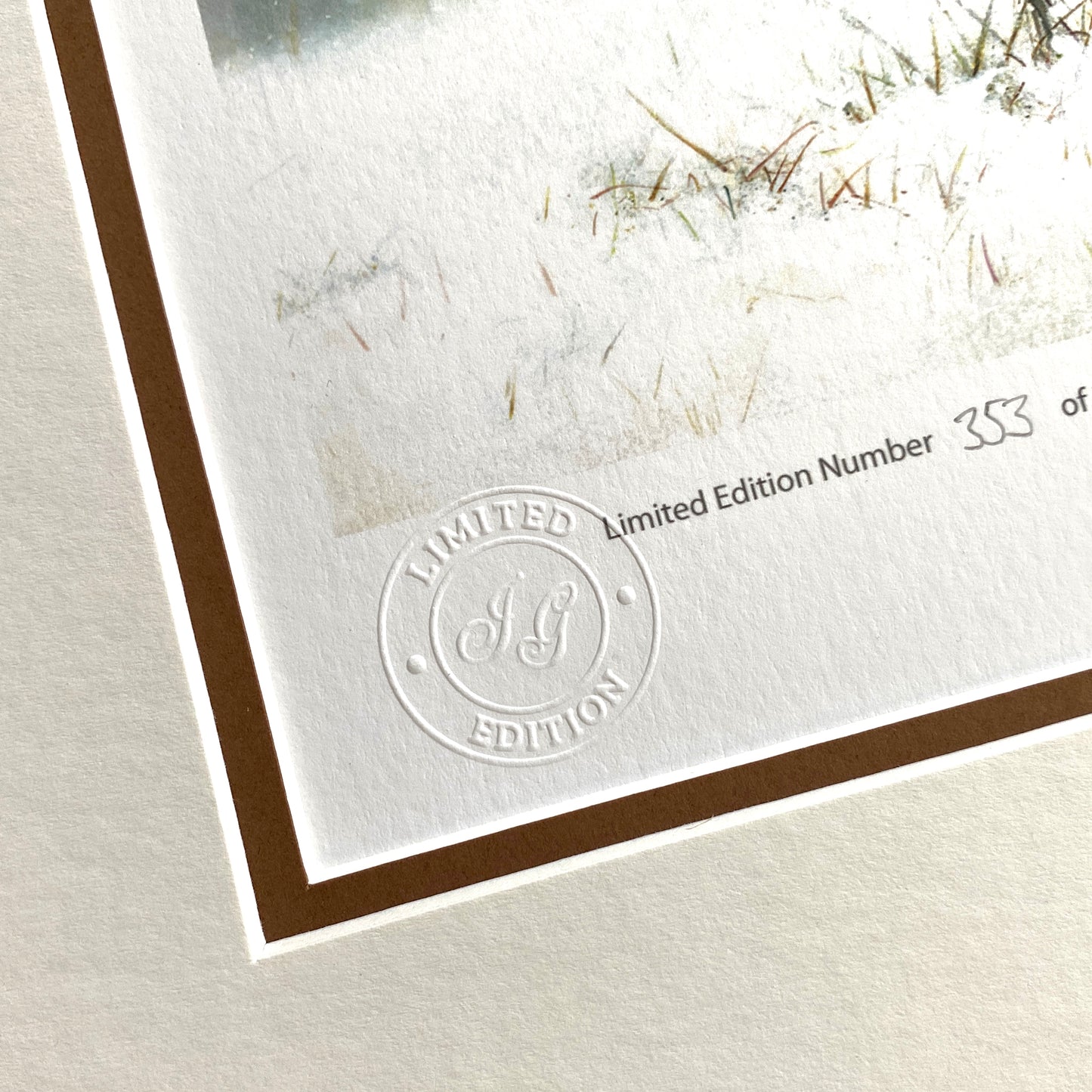 Pheasant Fight Limited Edition Print