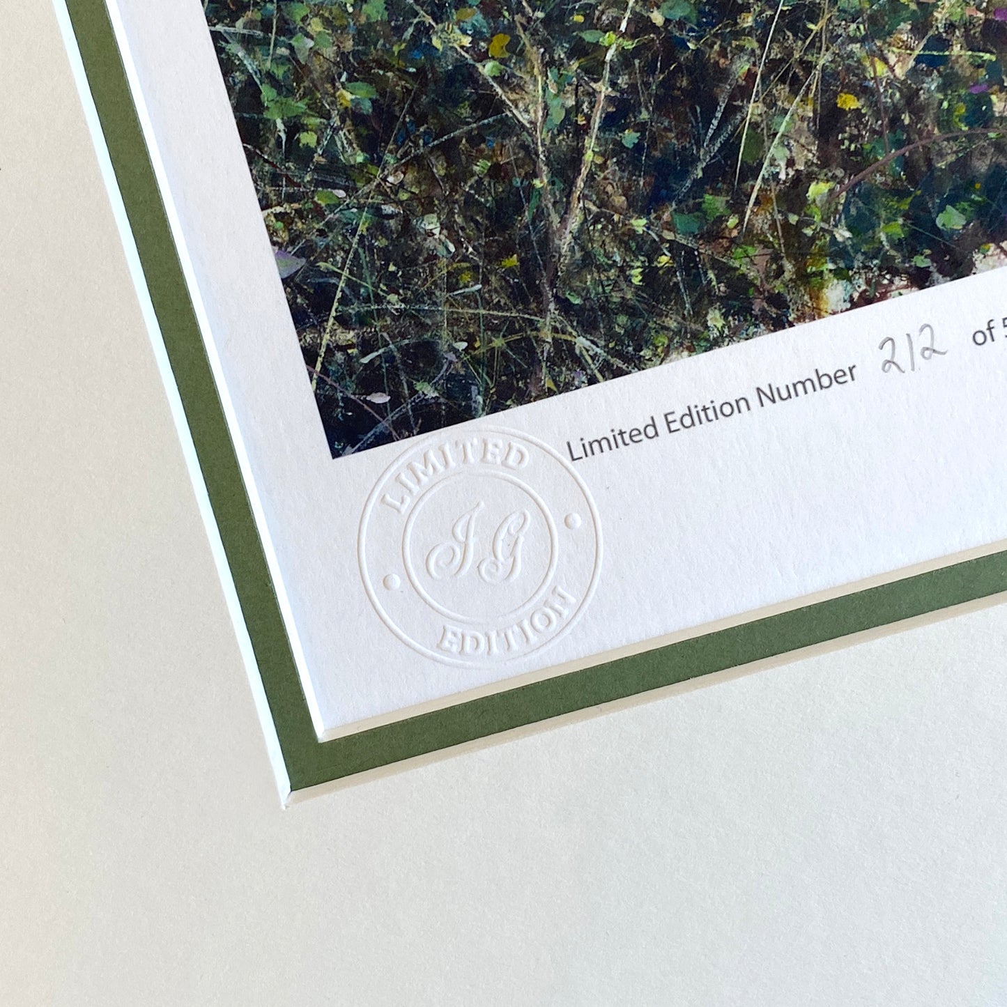 Woodland Escape Limited Edition Print