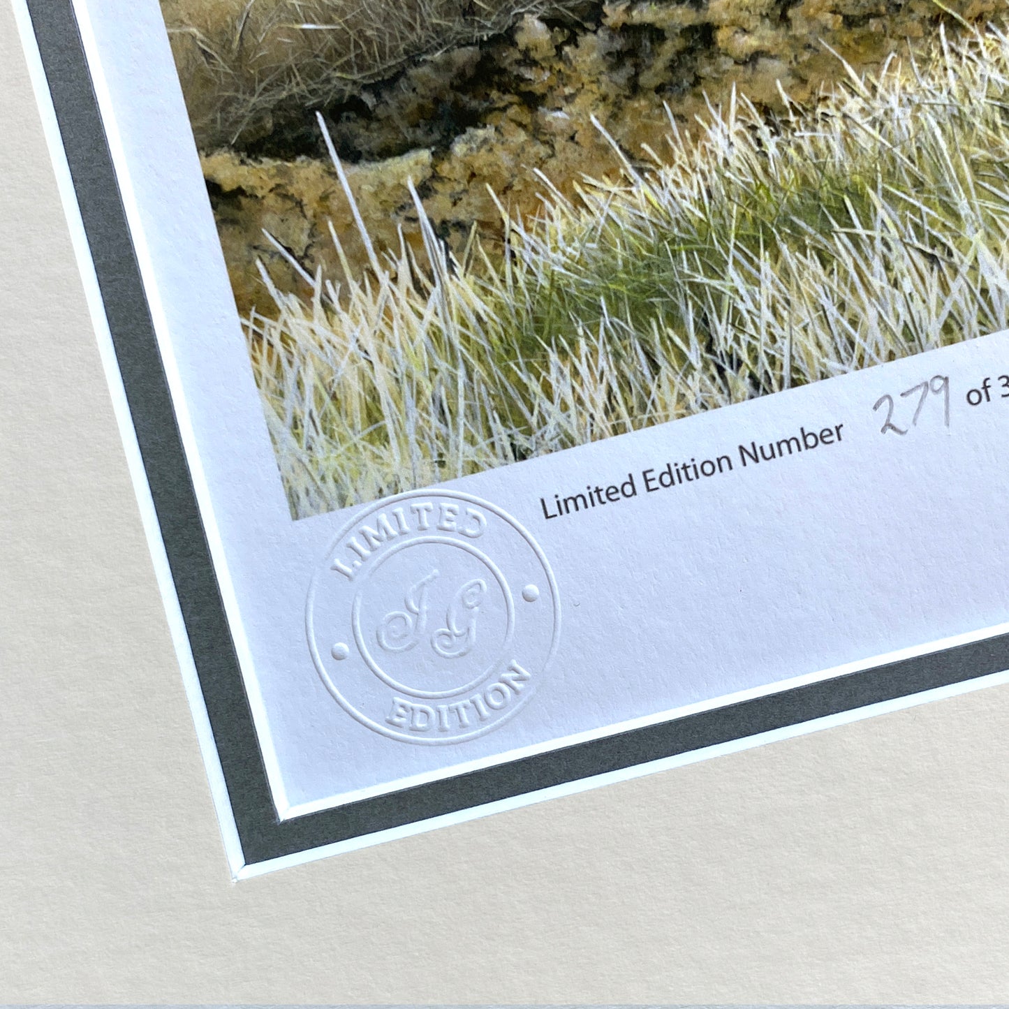 Working Horses Limited Edition Print