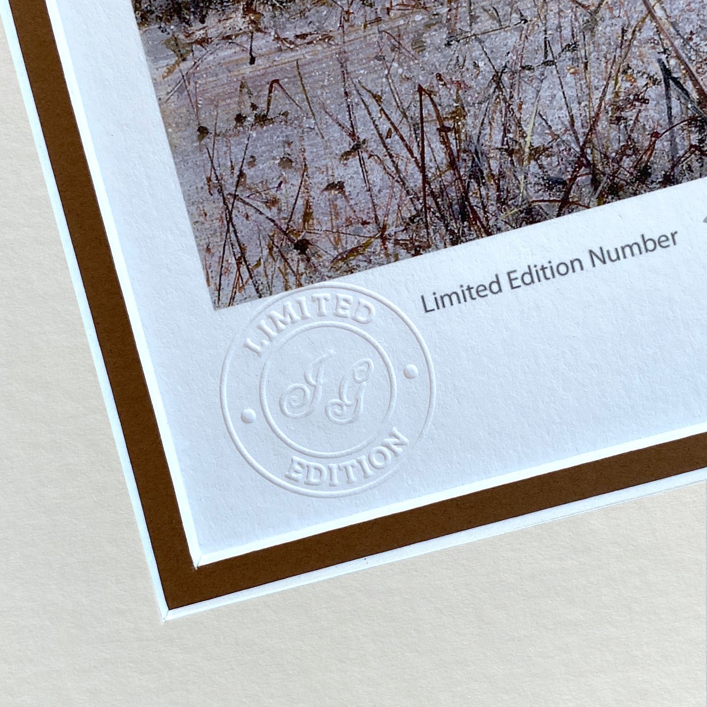 Morning Flight Limited Edition Print