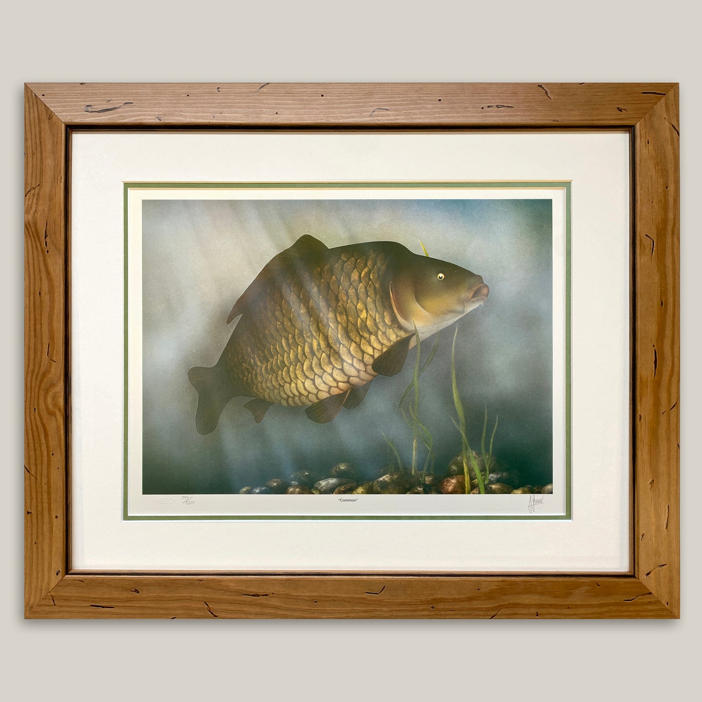 Common Carp Limited Edition Print