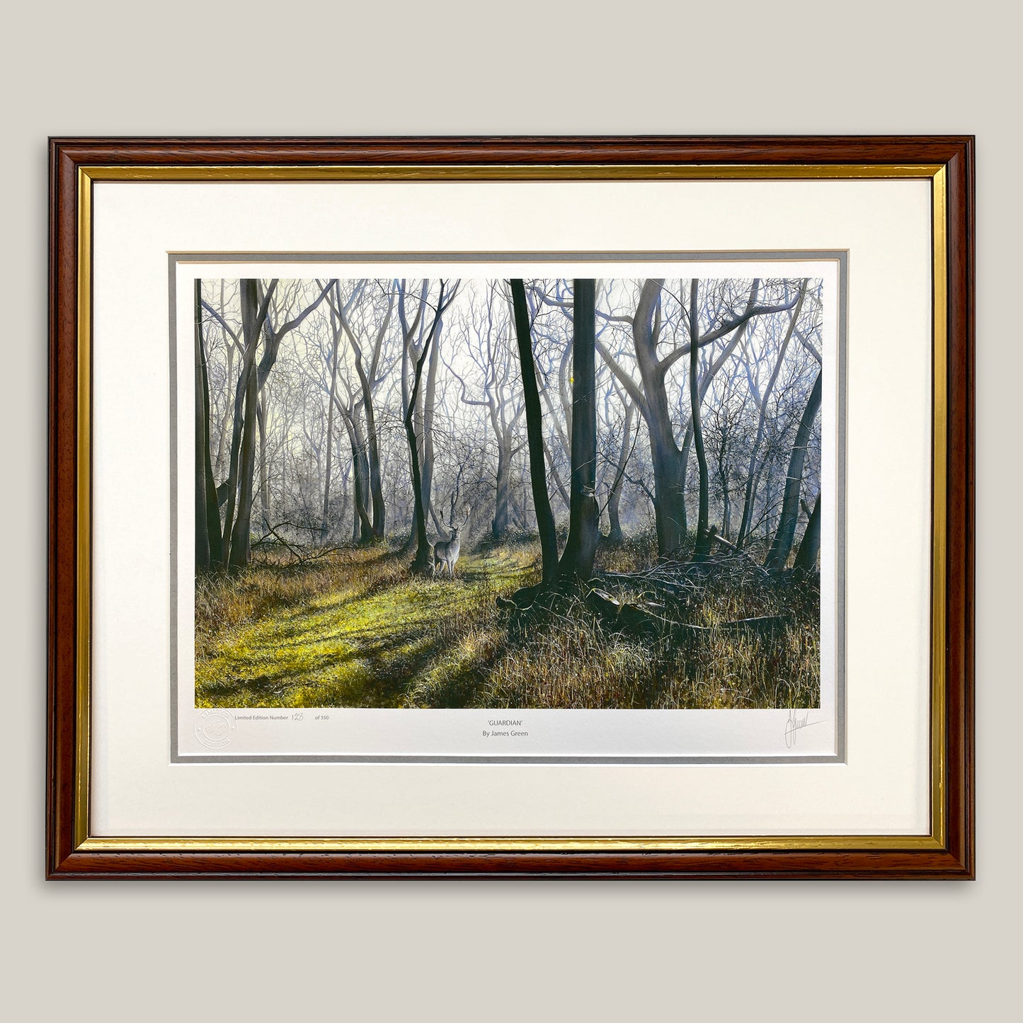 framed print of a fallow stag in the woods