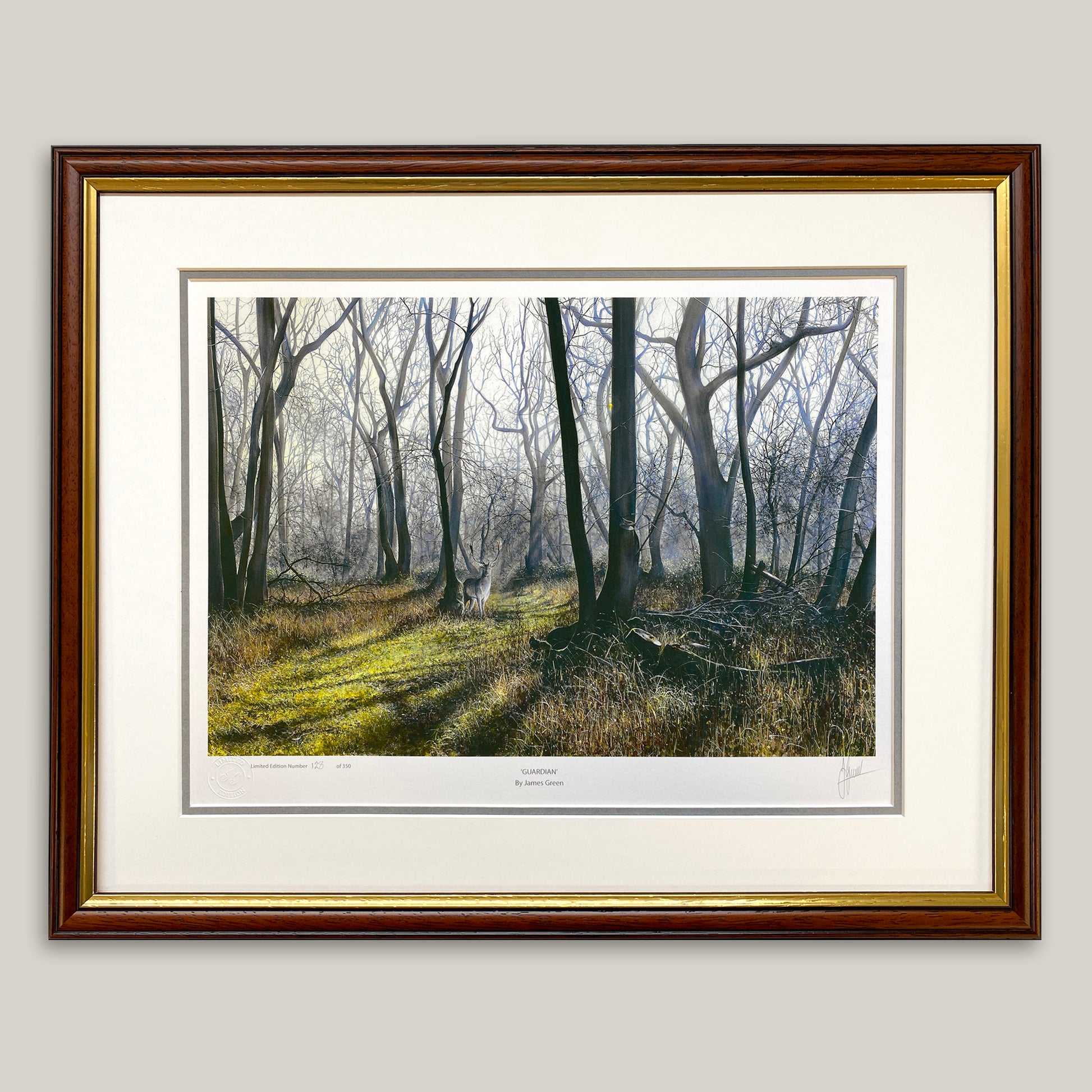 framed print of a fallow stag in the woods