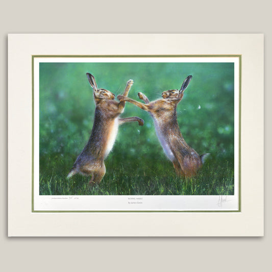 Boxing Hares Limited Edition Print