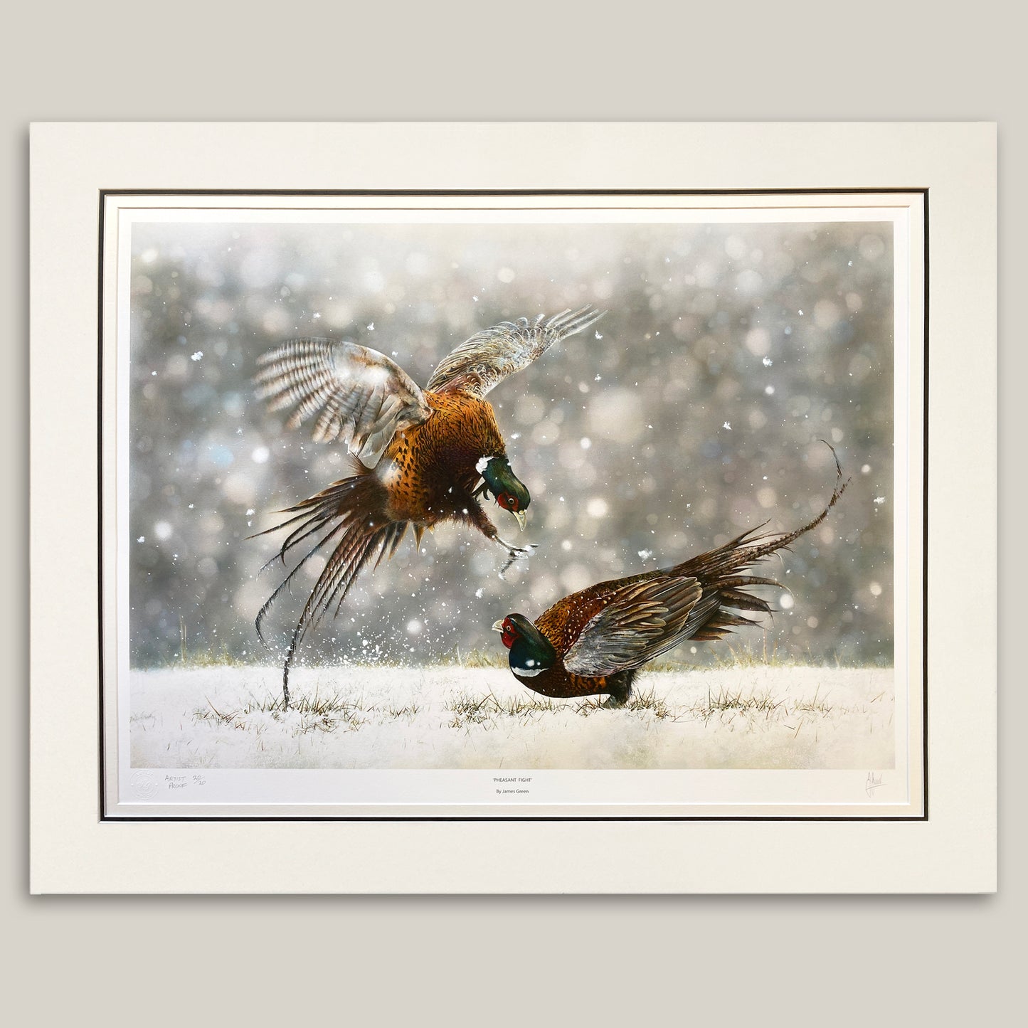 Pheasant Fight Artist Proof