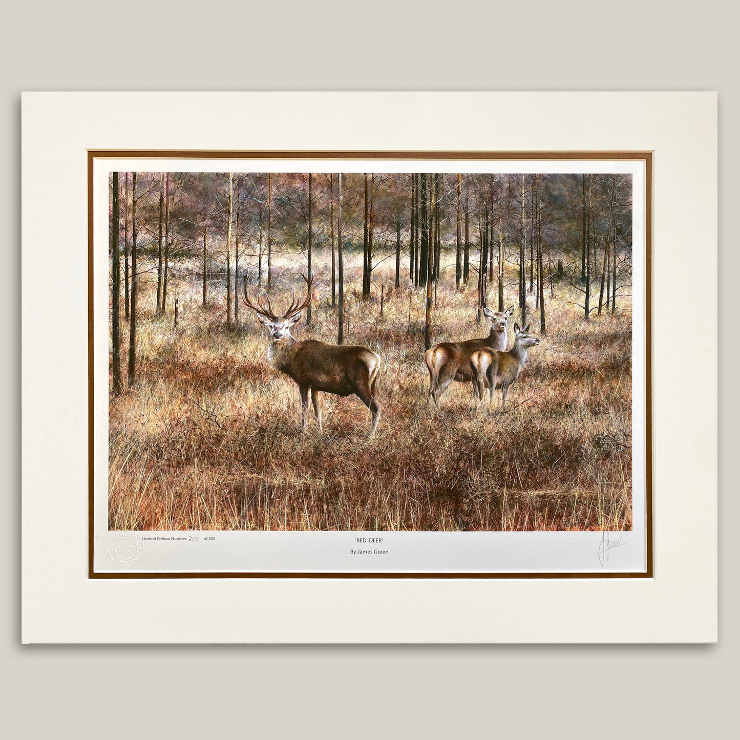 Painting of red deers in Scotland