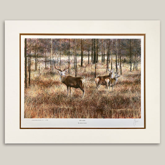 Painting of red deers in Scotland