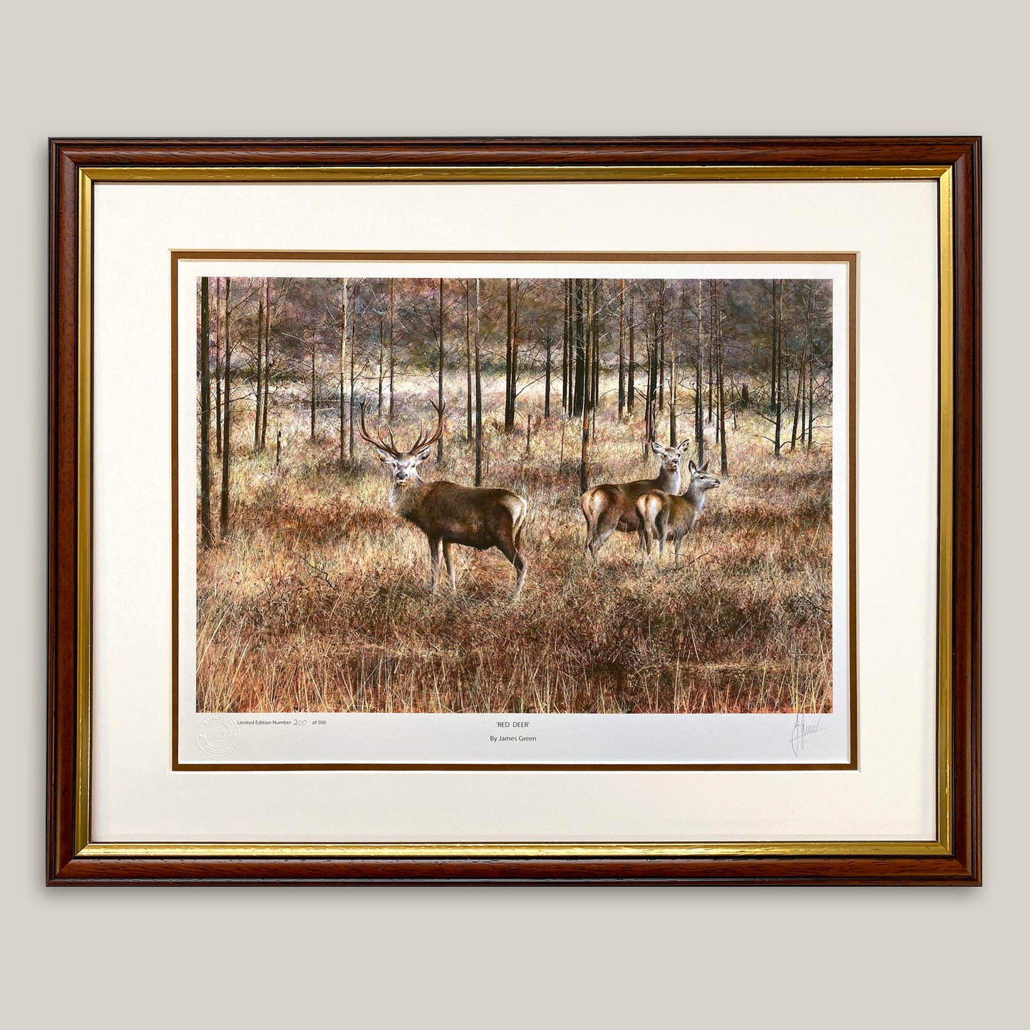Red Deer Limited Edition Print