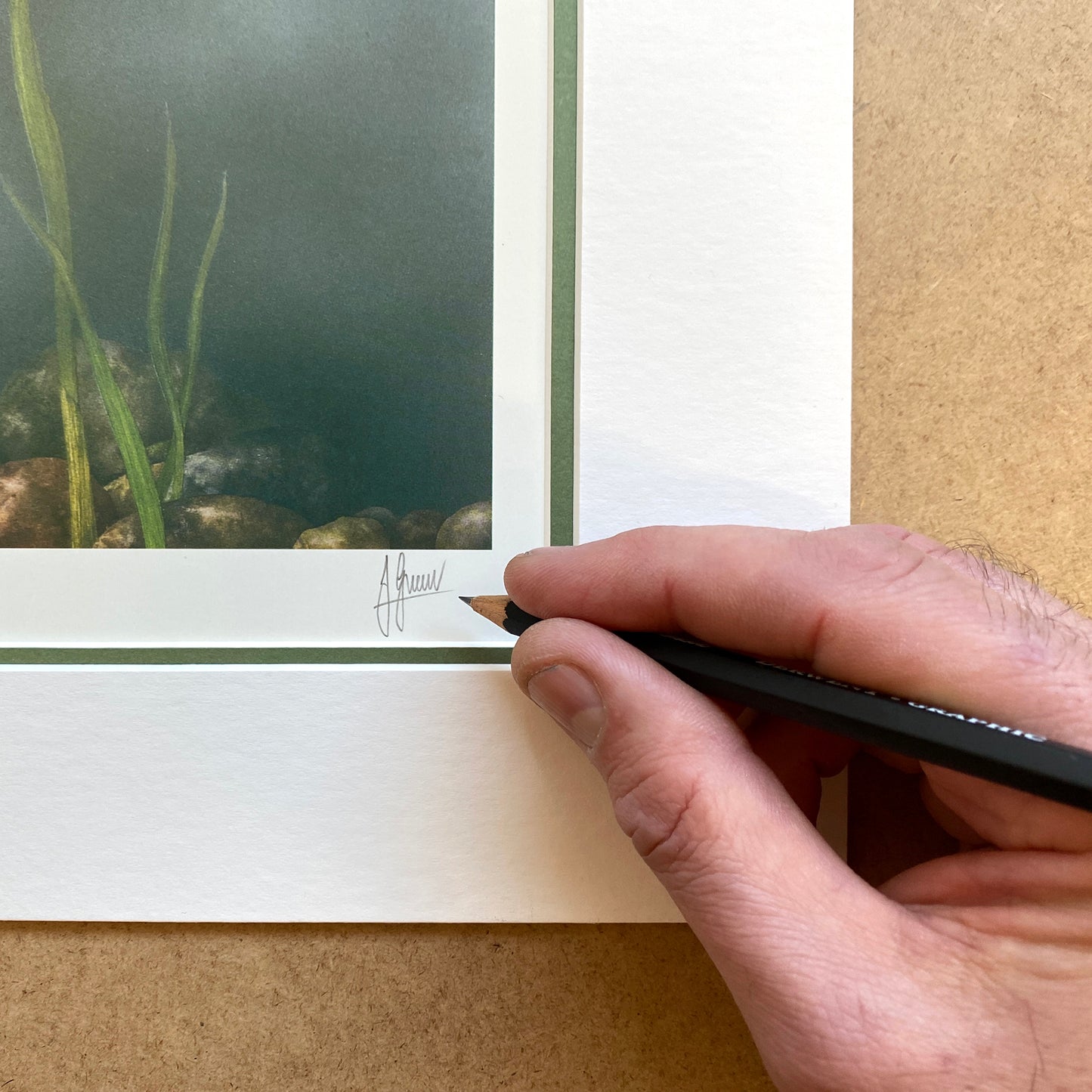 Common Carp Limited Edition Print