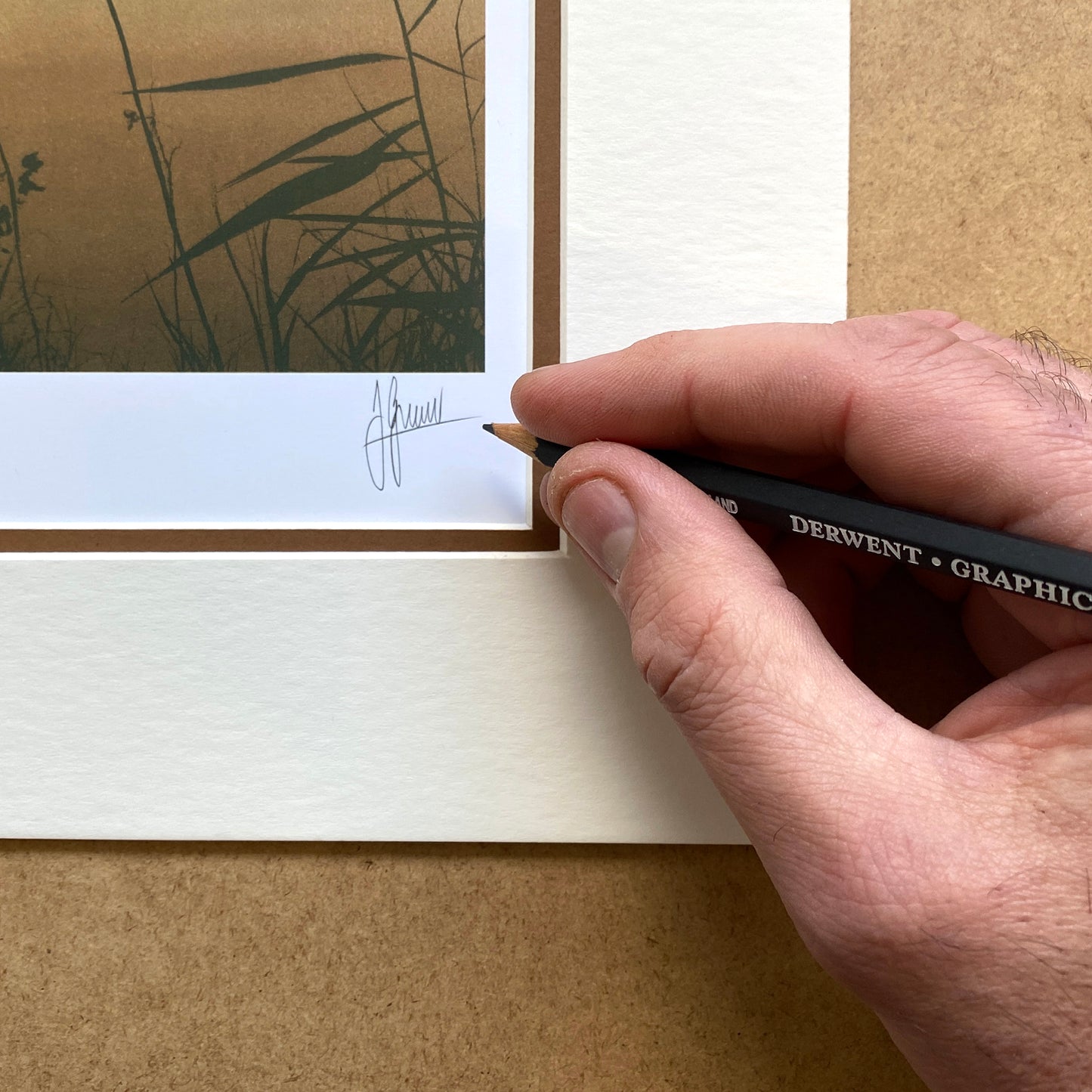 Fenland Reeds Limited Edition Print