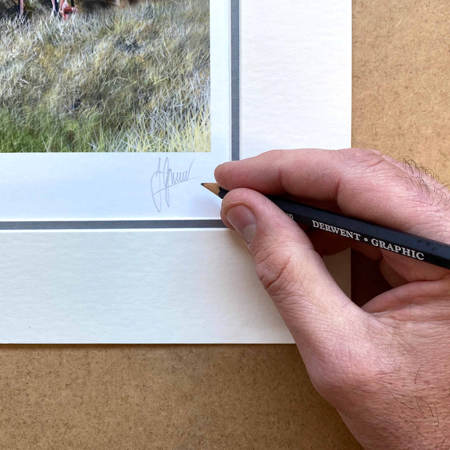 Working Horses Limited Edition Print