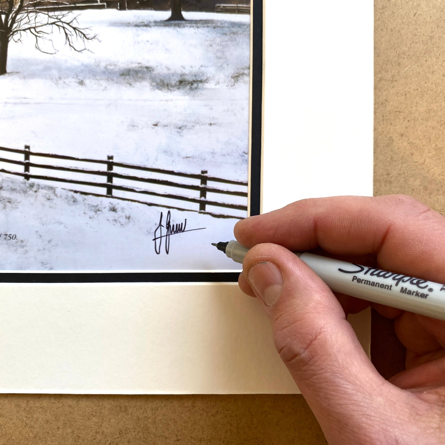 Ely Cathedral 'Ship of the Fens' Limited Edition Print