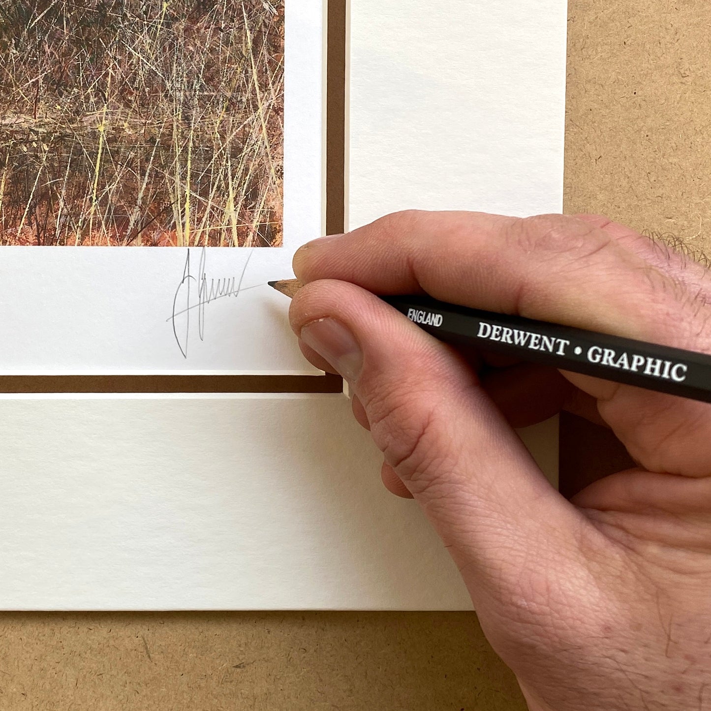 Red Deer Limited Edition Print