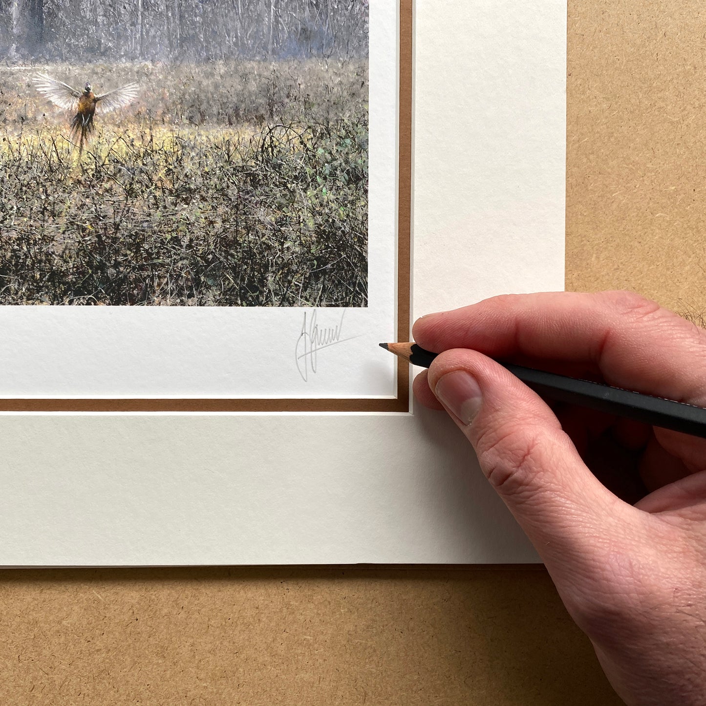 Startled Limited Edition Print