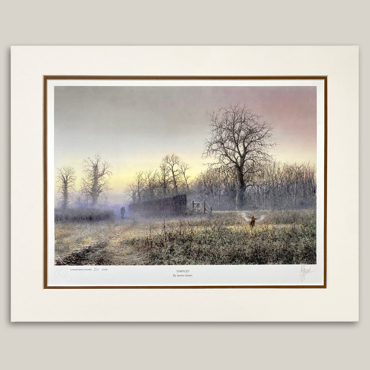 Startled Limited Edition Print