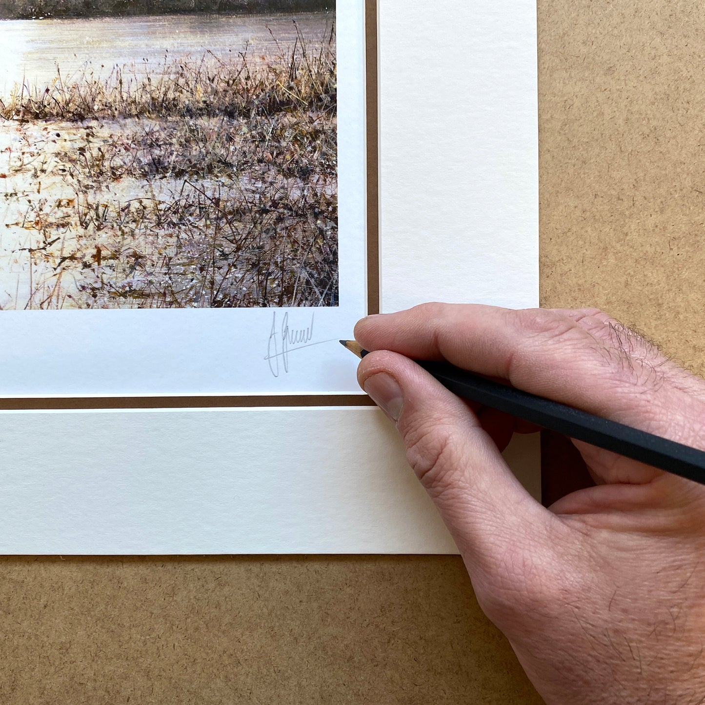 Morning Flight Limited Edition Print