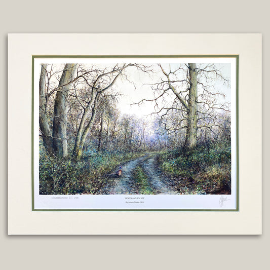 Woodland Escape Limited Edition Print