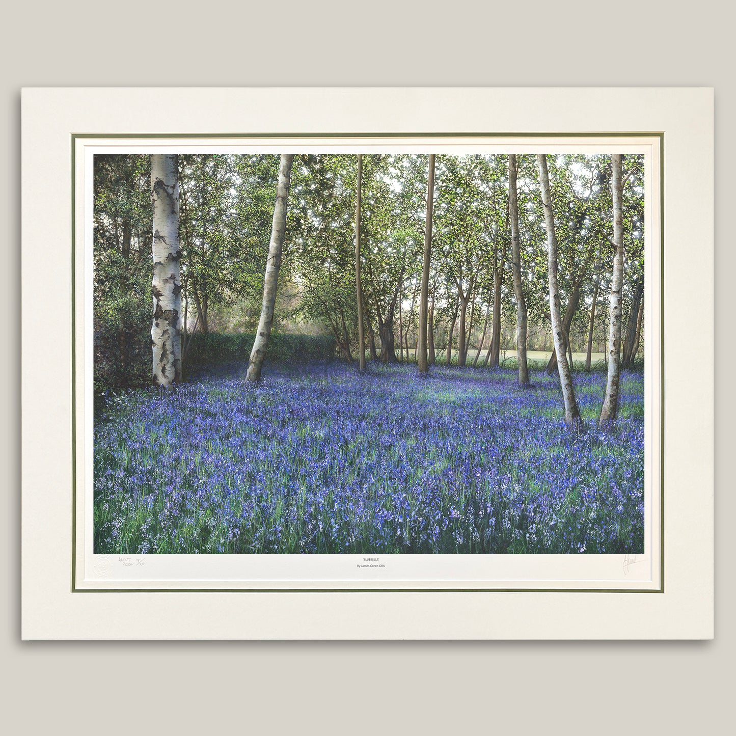 Large painting of a blanket of bluebells triple mounted and signed by the artist James Green