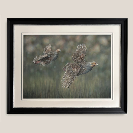 English Partridge Original Painting