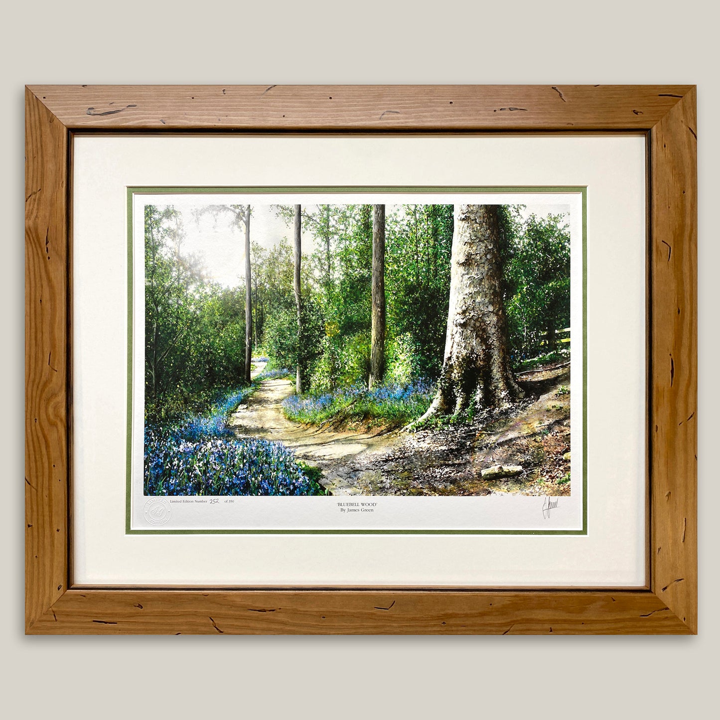 Bluebell Wood Limited Edition Print
