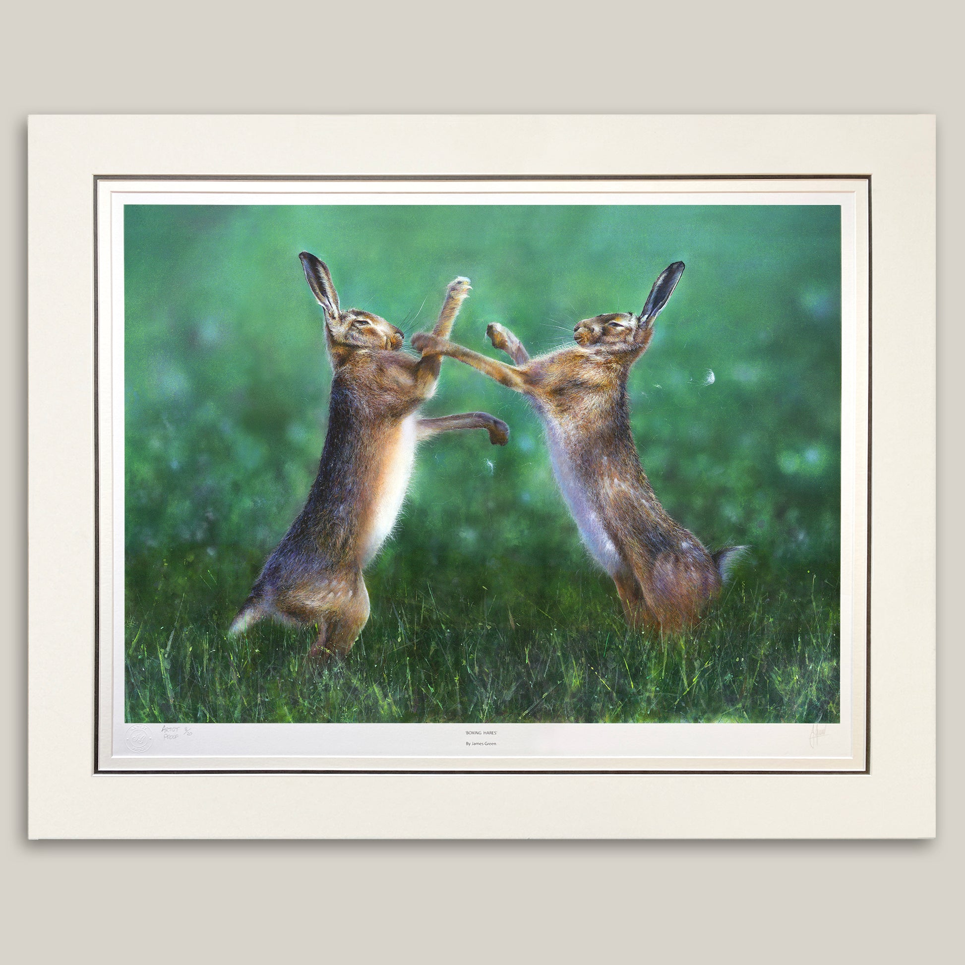 picture of two boxing hares from a painting by James Green, triple mounted 