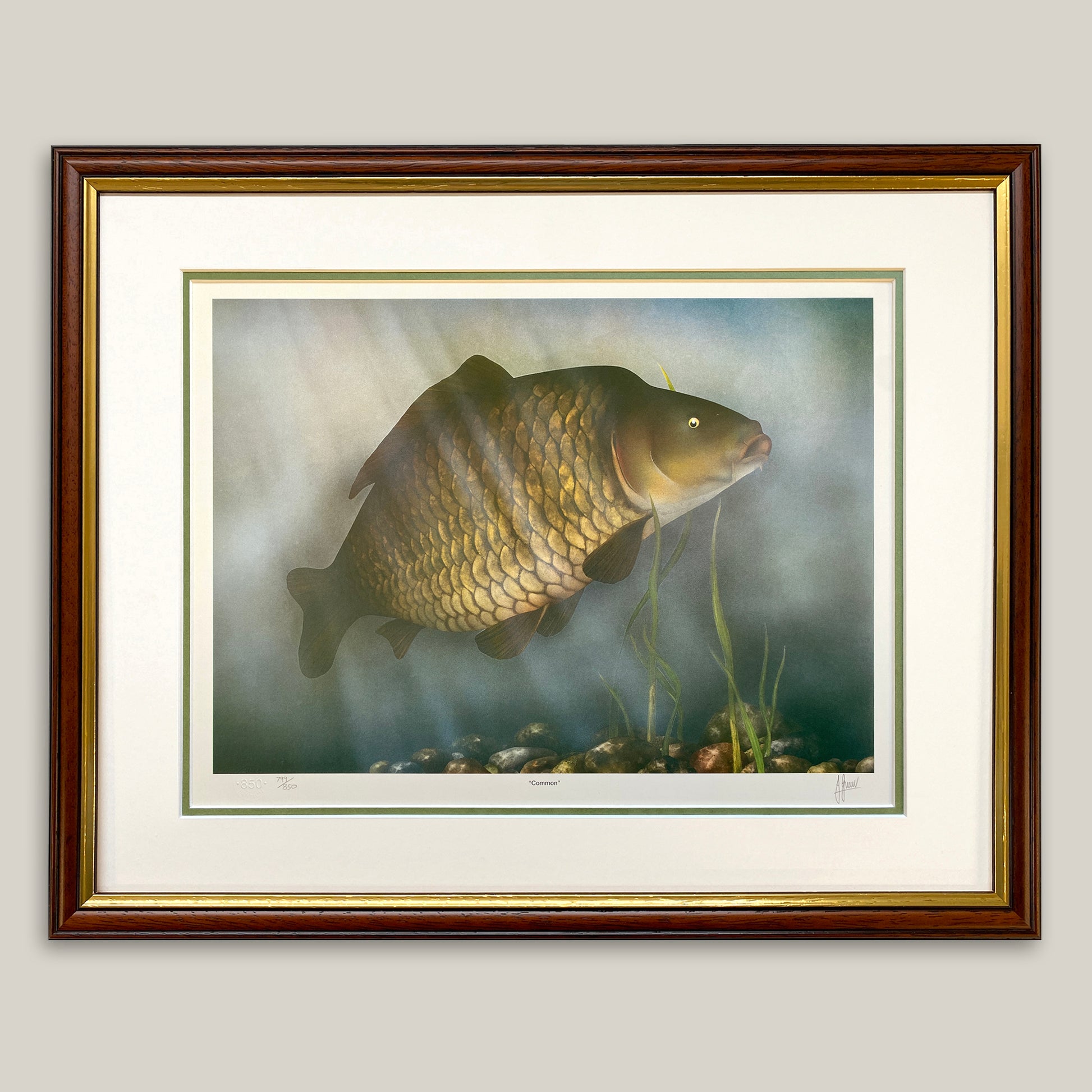 framed common carp painting by artist James Green