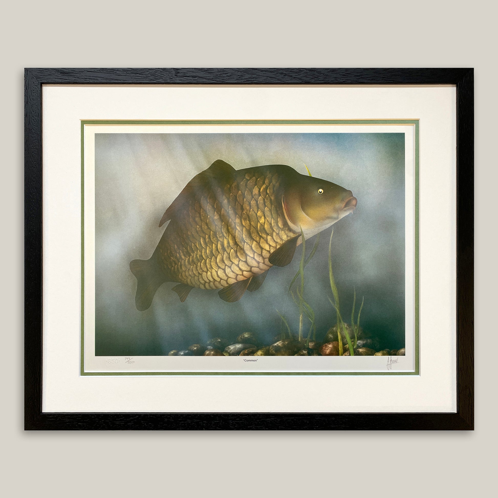 underwater carp print in black frame