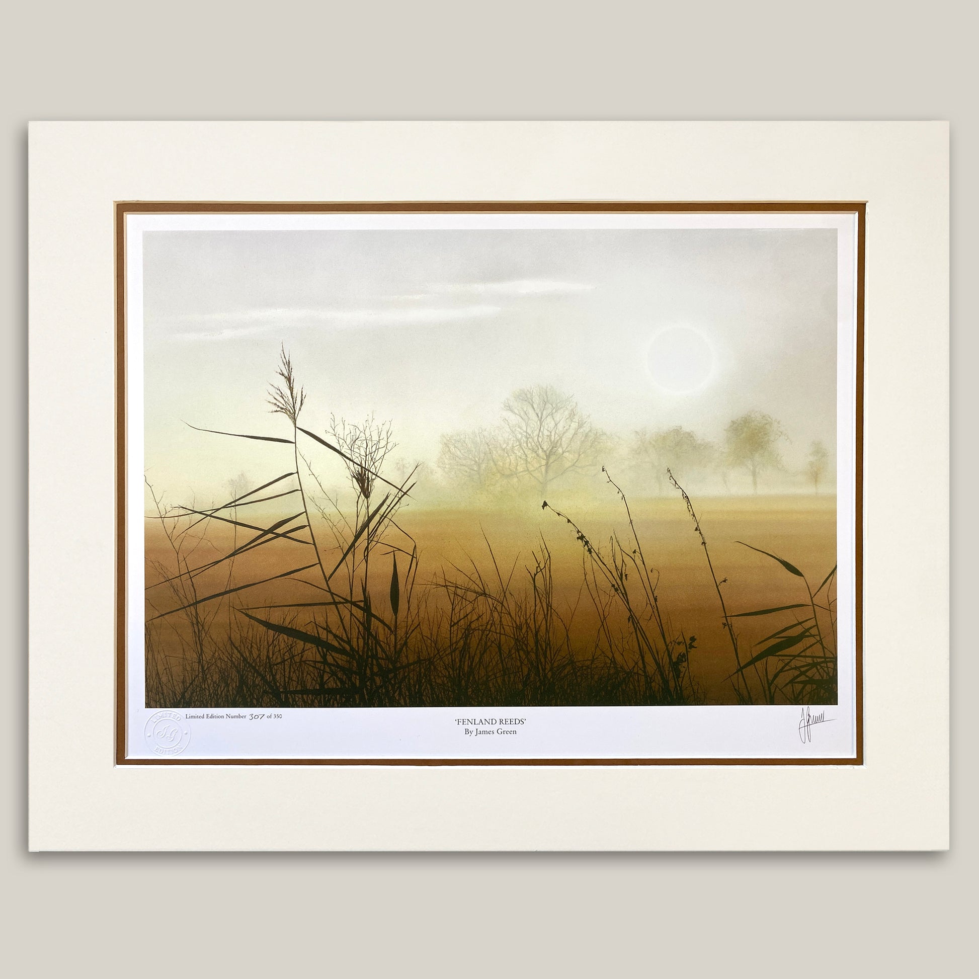 misty Fenland landscape painting with reeds in the foreground and sun setting in the background