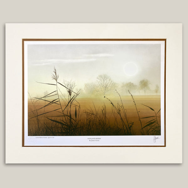 Fenland Reeds Limited Edition Print – Artist James Green