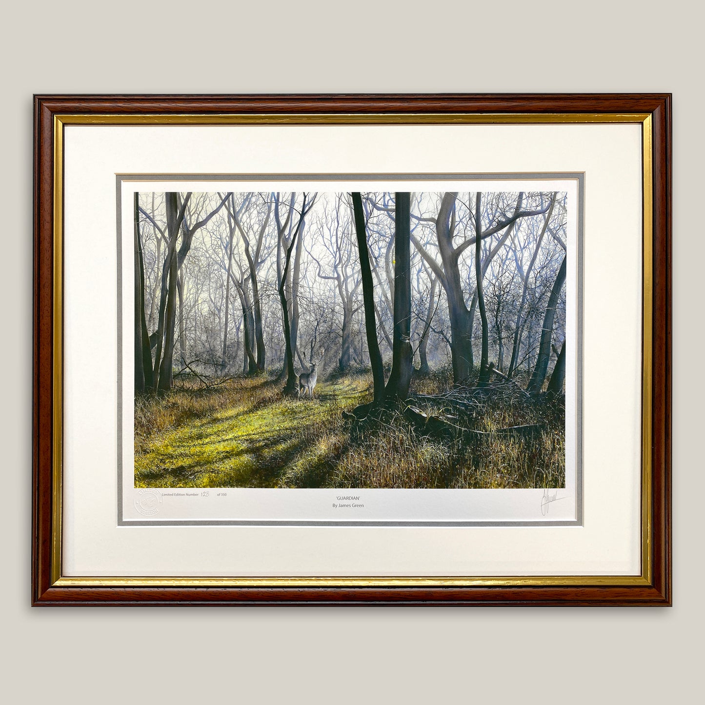 framed print of a fallow stag in the woods 