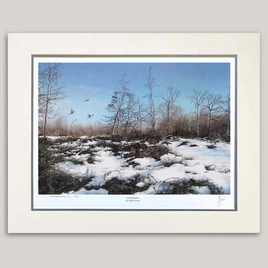 winter landscape mounted print by the artist James Green