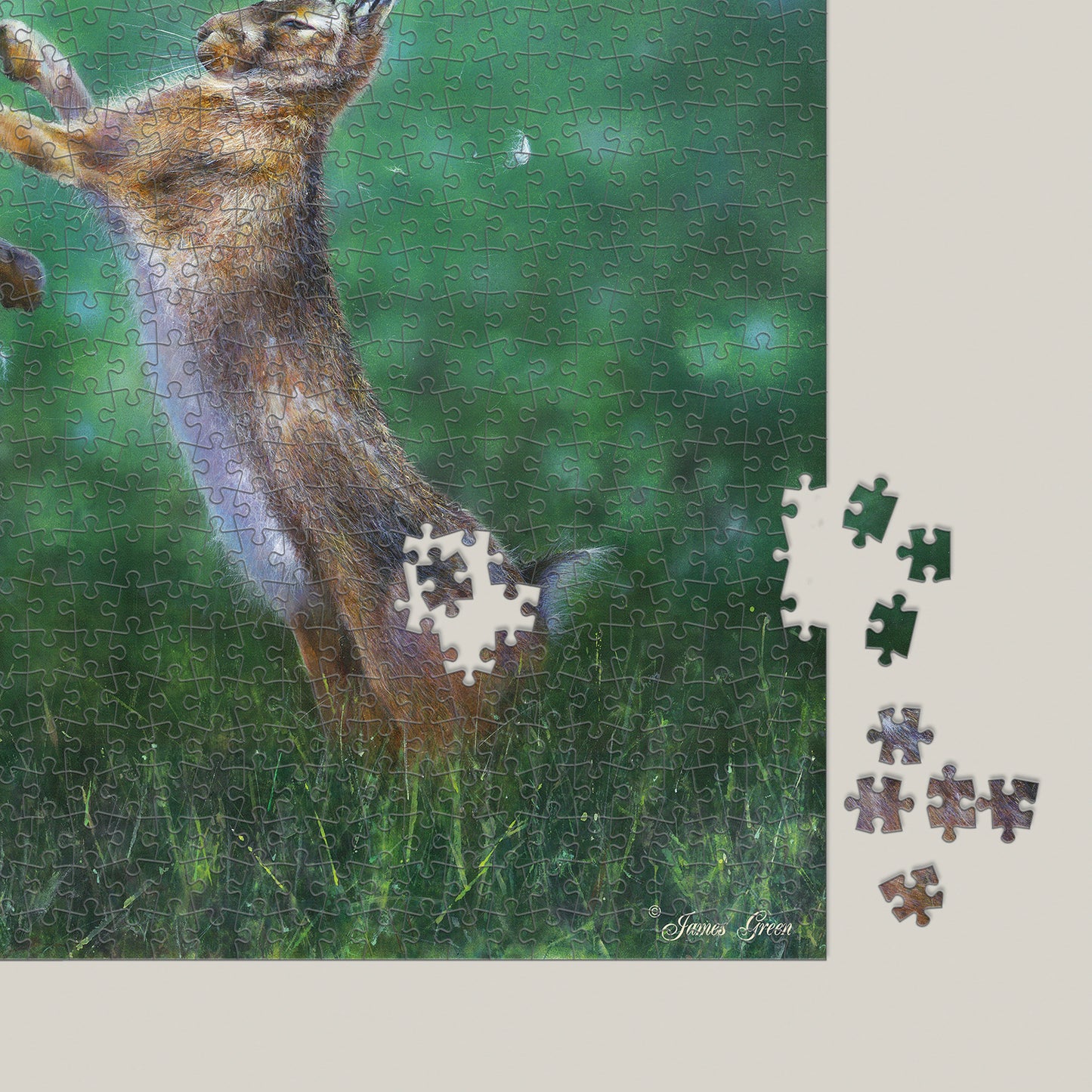 Boxing Hares 1000 Piece Jigsaw Puzzle
