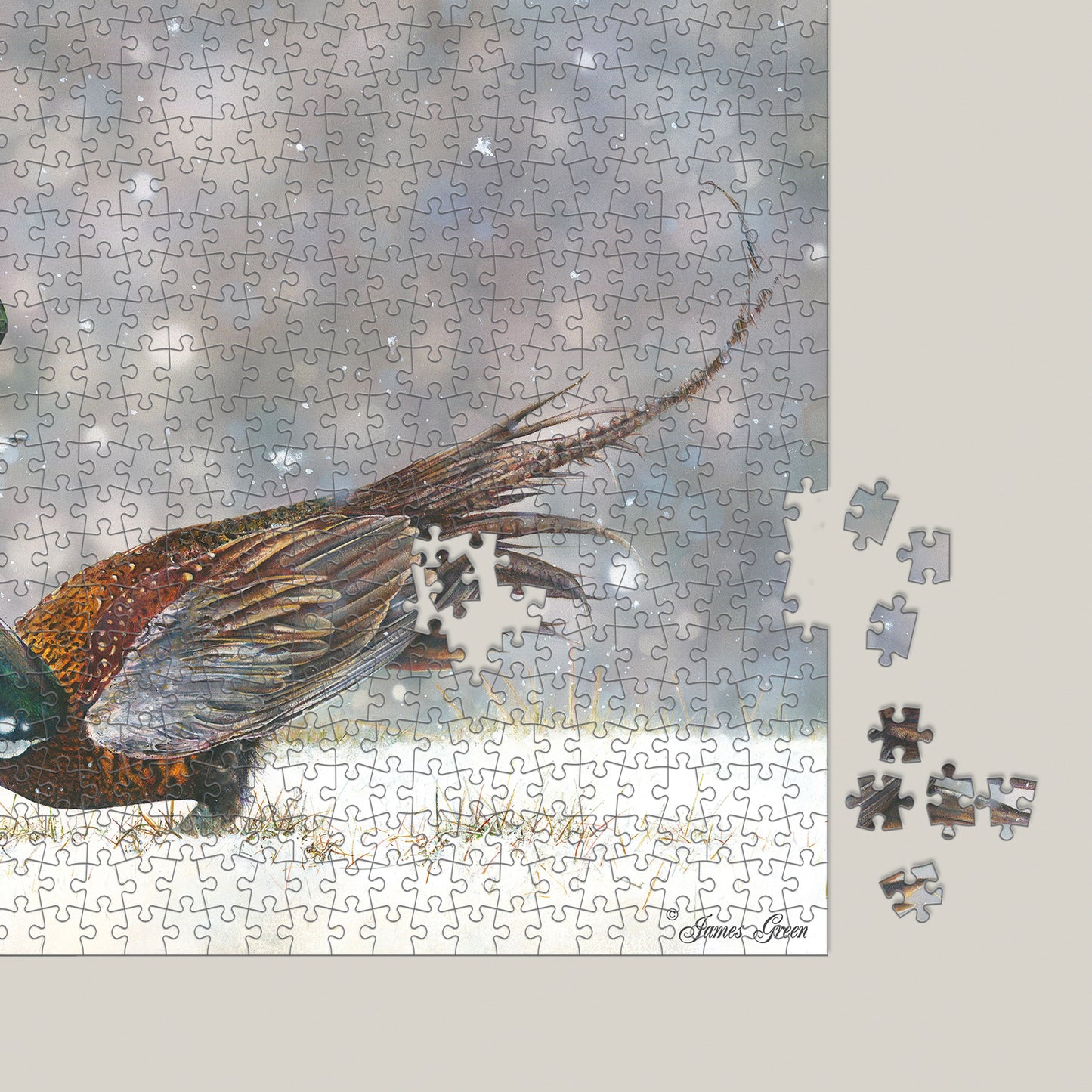Pheasant Fight 1000 Piece Jigsaw Puzzle