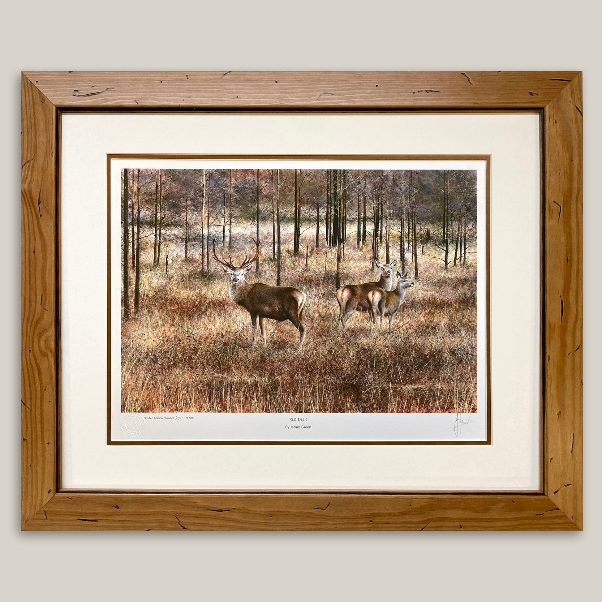 Print of Red Deers in a pine frame