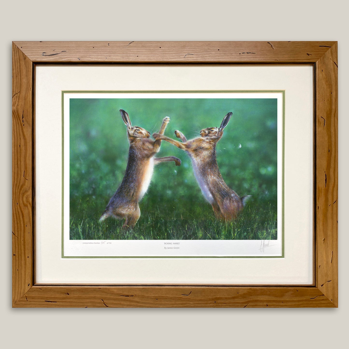 Boxing Hares Limited Edition Print