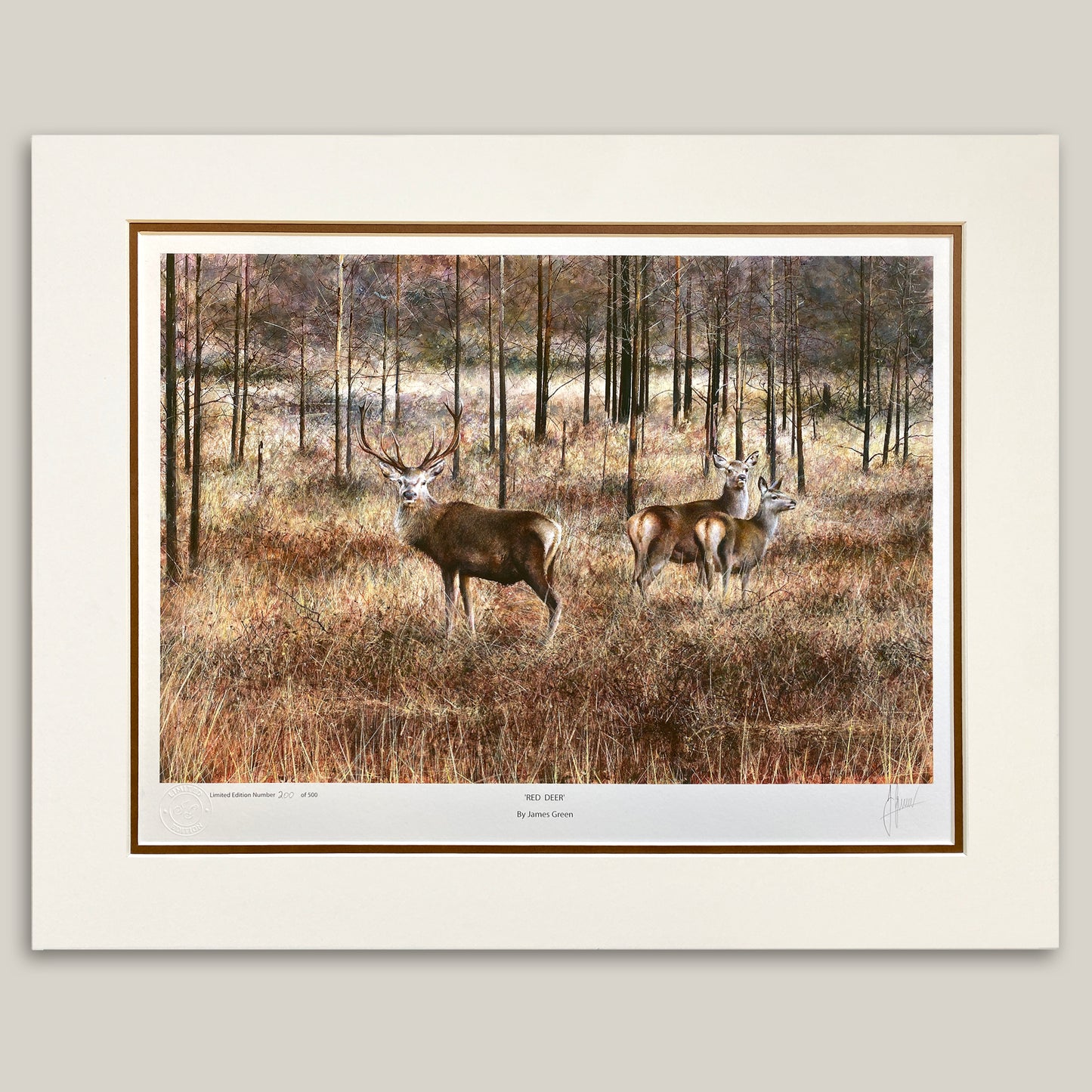 Painting of red deers in Scotland  