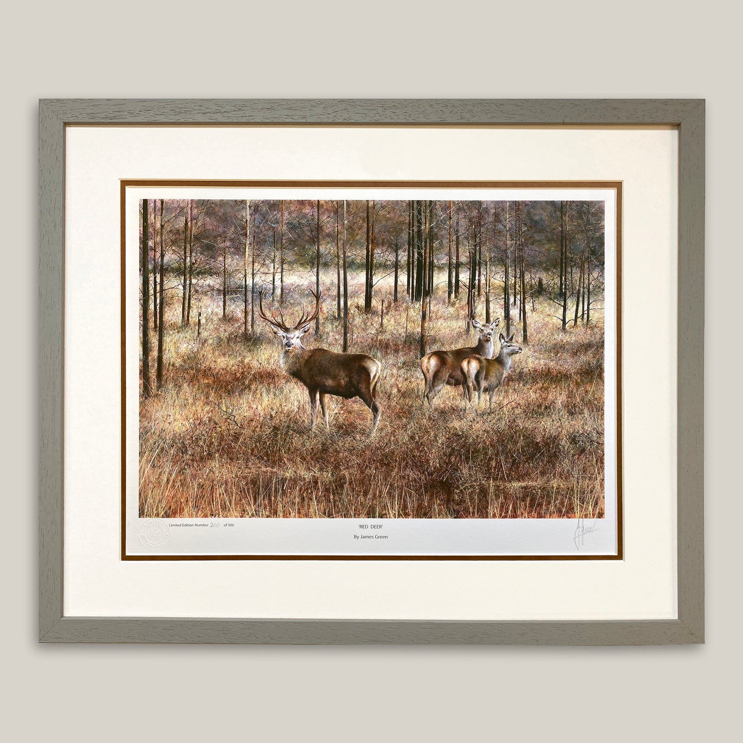 Red Deer Limited Edition Print